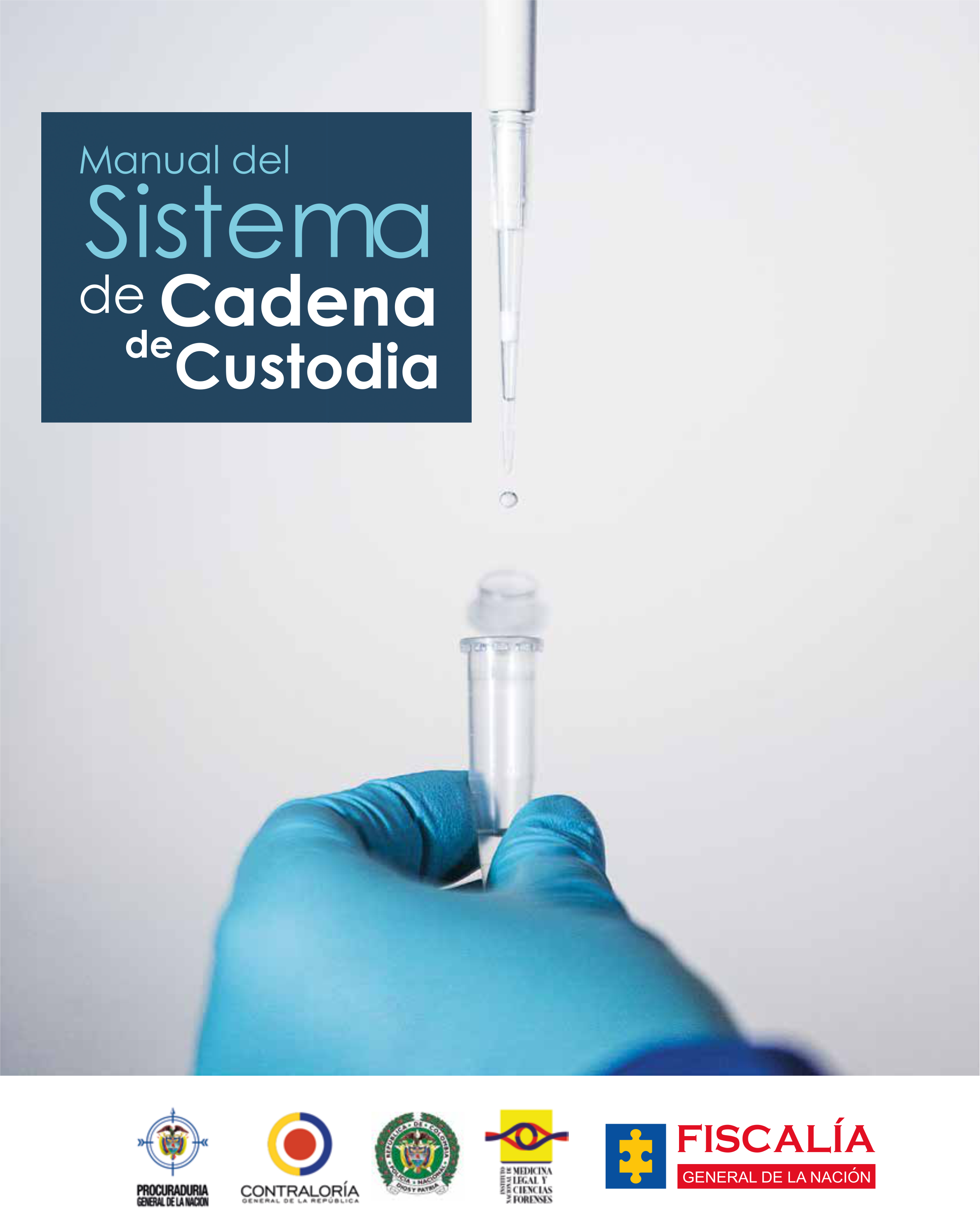 Producto 8